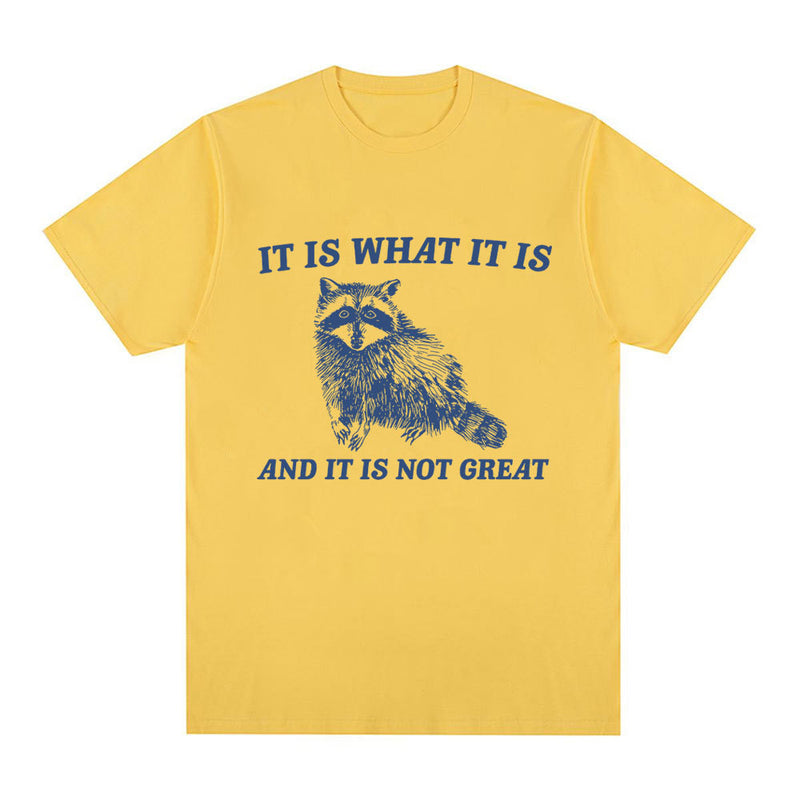 It Is What It Is and It Is Not Great T Shirt Funny Raccoon