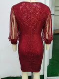 Women's Evening Gown Long Sleeve Sequins Dress Sexy Retro Evening Dress