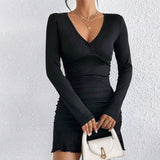 Women Dress Fall/Winter Slim Sheath Sexy Long Sleeve Dress