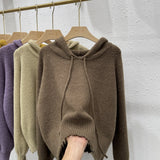 Women Knitted Pullover Spring and Autumn Sweater Women's Loose Long Sleeve Hooded Sweater Sweater