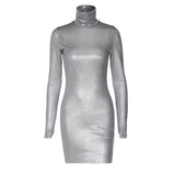 Women Dresses Winter Sexy Slim Turtleneck Long Sleeve Narrow Dress