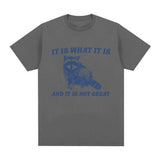 It Is What It Is and It Is Not Great T Shirt Funny Raccoon