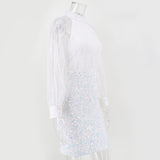Women's Evening Gown Sexy Retro Long Sleeve Sequins Dress Dress