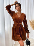 Women Dress Autumn and Winter V-neck Velvet Sexy Dress