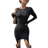 Women Dress Slim Knit Long Sleeve Narrow Dress Skirt