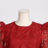 Women Dresses Spring Lace Embroidery Dress (Qymy0409)
