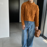 Women Winter Knitted Sweater Crew Neck Twist Loose-Fitting Long Sleeve Sweater X1925