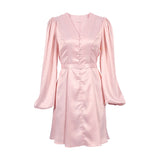 Women Dress Fall/Winter Pink V-neck Dress