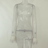 Women Dresses Mesh Dress Sexy Dress (Bla0420)