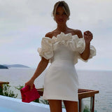 Women Dresses Sexy Skirt Dress Skirt (Zns0409)