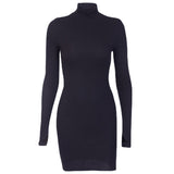 Women Dresses Slim Turtleneck Long Sleeve Narrow Dress