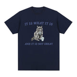 It Is What It Is and It Is Not Great T Shirt Funny Raccoon