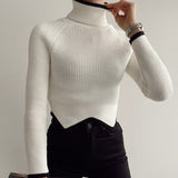 Ladies Leisure Knitwear Long Sleeve Turtleneck Skinny Knitted Top
