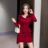 Women Maxi Dress Autumn Long Sleeve Slim Fit Sheath Dress