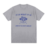 It Is What It Is and It Is Not Great T Shirts Funny Meme