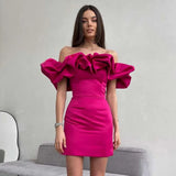 Women Dresses Sexy Skirt Dress Skirt (Zns0409)