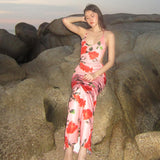 Women Dresses Spring and Summer Dress Sexy Backless Printing Slip Dress (Csm202403)