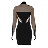 Women Dresses Winter Sexy Mesh Slim Fit Long Sleeve Narrow Dress