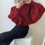 Women Winter Knitted Sweater Casual Style Sweater 8t3081