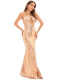Women's Evening Gown Sexy Backless Vintage Sequins Dress Evening Dress