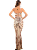 Women's Evening Gown Evening Dress Sexy Strap Vintage Sequins Dress