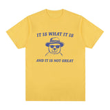 It Is What It Is and It Is Not Great T Shirts Funny Meme