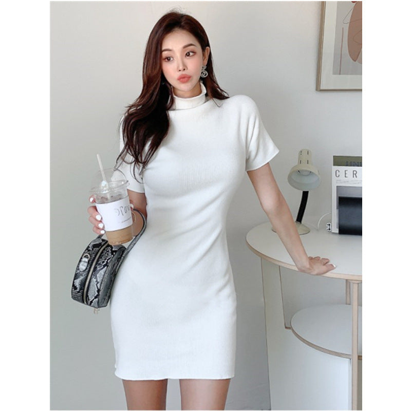 Women Dresses Turtleneck Short Sleeve Dress Skirt