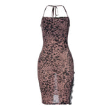 Women Dresses Leopard Print Printed Sexy Mesh Dress