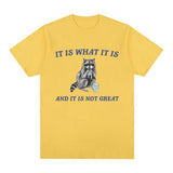 It Is What It Is and It Is Not Great T Shirt Funny Raccoon