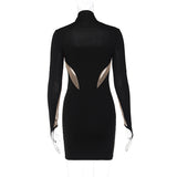 Women Dresses Winter Sexy Mesh Slim Fit Long Sleeve Narrow Dress