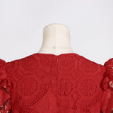 Women Dresses Spring Lace Embroidery Dress (Qymy0409)