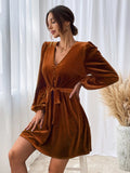 Women Dress Autumn and Winter V-neck Velvet Sexy Dress