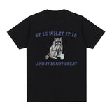 It Is What It Is and It Is Not Great T Shirt Funny Raccoon