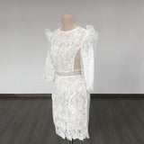 Women's Evening Dress round Neck Hollow Lace Slim-Fit Sheath Dress