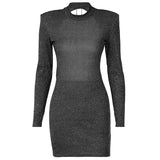 Women Dresses Autumn Sexy Backless Crew Neck Long Sleeve Narrow Dress