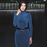 Women Dresse Autumn and Winter Turtleneck Long Sleeve Dress Sheath Dress