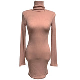 Women Dresses Turtleneck Knitting Dress Autumn and Winter Long Sleeve Narrow Short Skirt