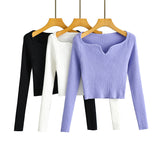 Women Sweater Knitwear