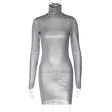 Women Dresses Winter Sexy Slim Turtleneck Long Sleeve Narrow Dress