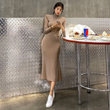 Women Dresses Sexy Sheath Long Sleeve Dress