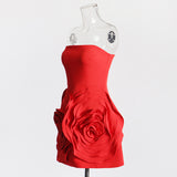 Women Dresses Spring Dress Short Skirt (Qymy0409)