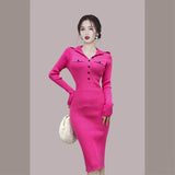 Women Maxi Dress Autumn and Winter Turtleneck Long Sleeve Narrow Knitted Dress