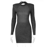 Women Dresses Autumn Sexy Backless Crew Neck Long Sleeve Narrow Dress