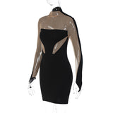 Women Dresses Winter Sexy Mesh Slim Fit Long Sleeve Narrow Dress