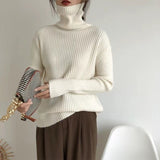 Women Knitted Pullover Turtleneck Sweater Women's Winter Sweater Top