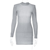 Women Dresses Autumn Sexy Backless Crew Neck Long Sleeve Narrow Dress