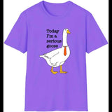 Today I'm A Serious Goose T-Shirt Silly Goose Shirt  Funny