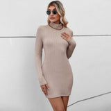 Women Dress Knitted Turtleneck Backless Sexy Dress