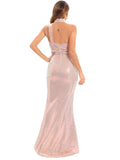 Women Evening Gown Sexy Backless Mesh Stitching Sequins Dress