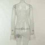Women Dresses Mesh Dress Sexy Dress (Bla0420)